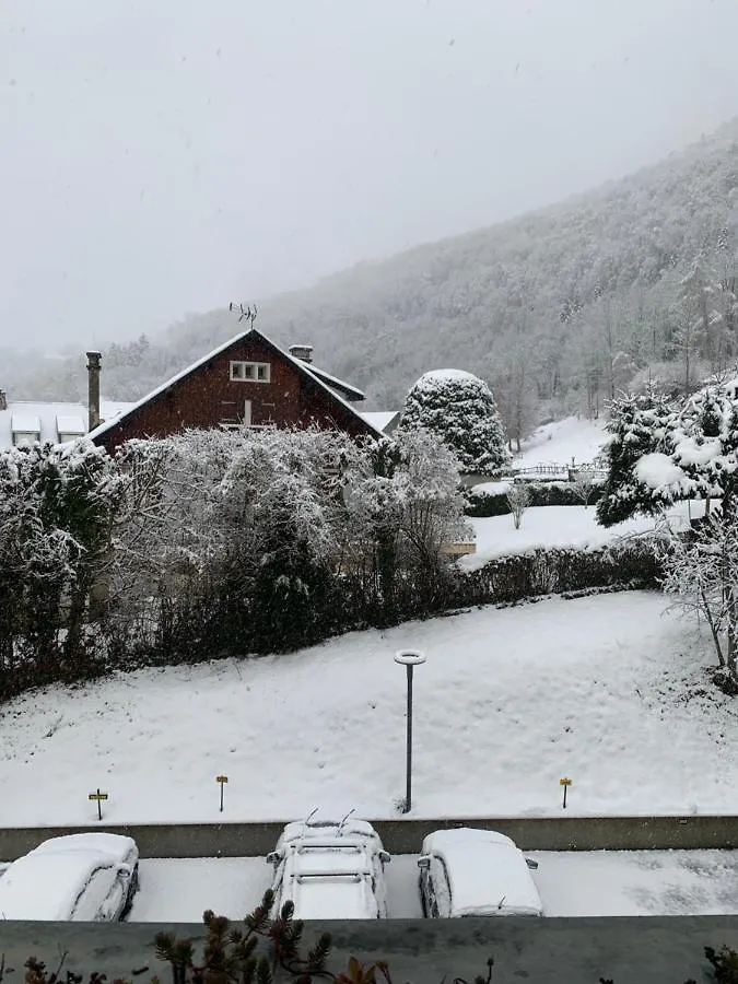 Apartment Appartement Vue Montagne Avec Wifi Saint-Lary-Soulan France
